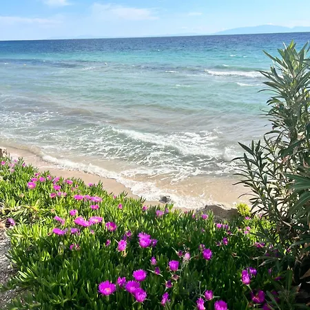 Seaside In